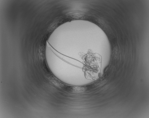 X0000060260234200511241436