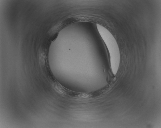 X0000060260235200511241436