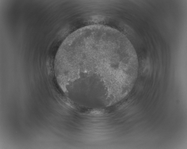 X0000060260236200511241436