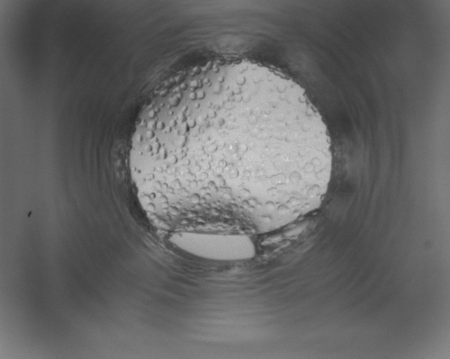 X0000060260237200511241436