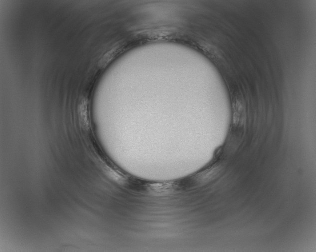 X0000060260238200511241436