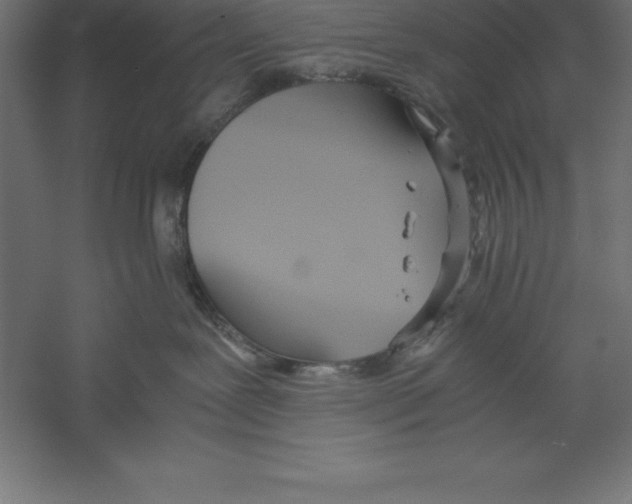 X0000060260239200511241436