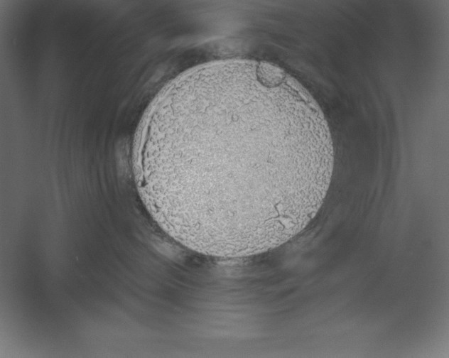 X0000060260240200511241436