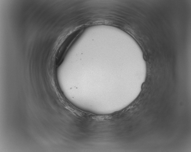 X0000060260241200511241435