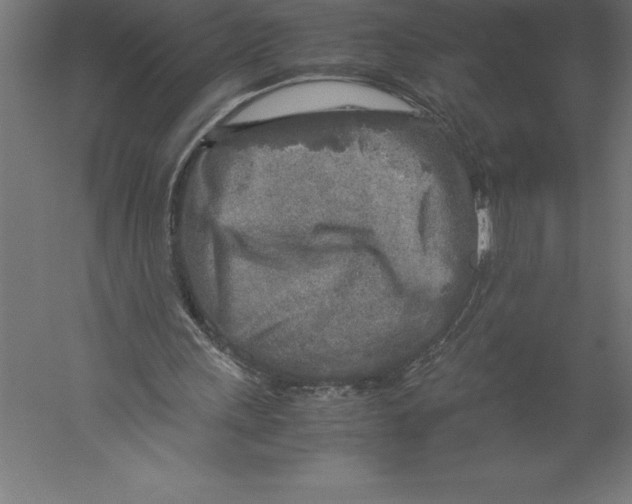 X0000060260243200511241435