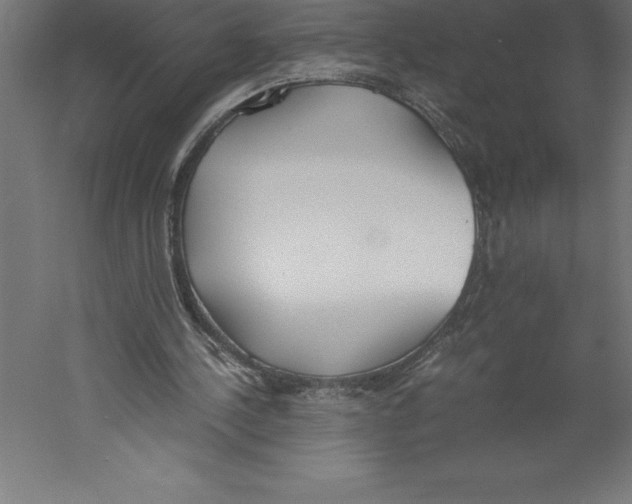 X0000060260244200511241435