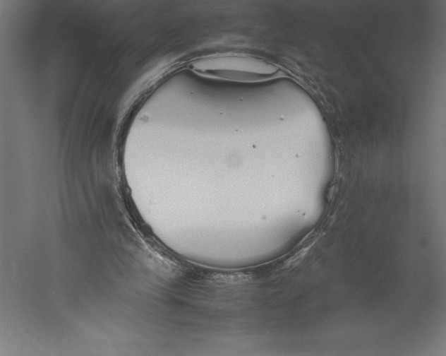 X0000060260245200511241435