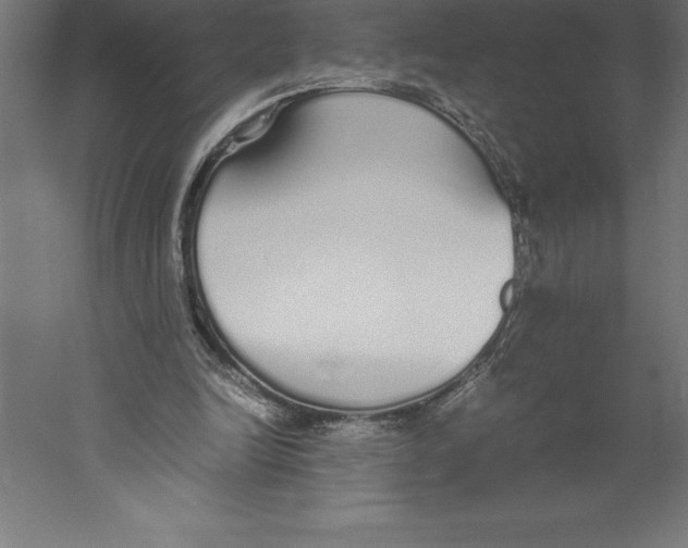 X0000060260246200511241435