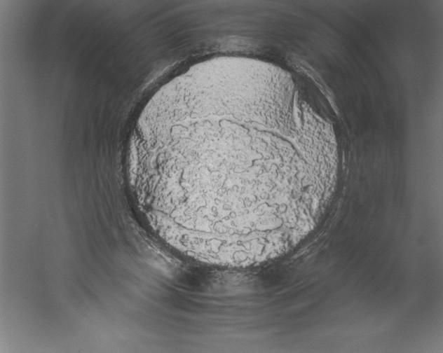 X0000060260249200511241435