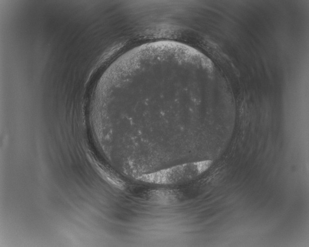 X0000060260250200511241435