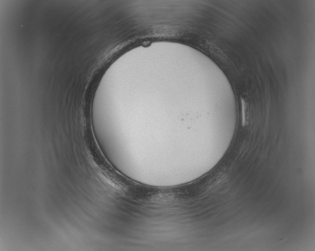 X0000060260252200511241435