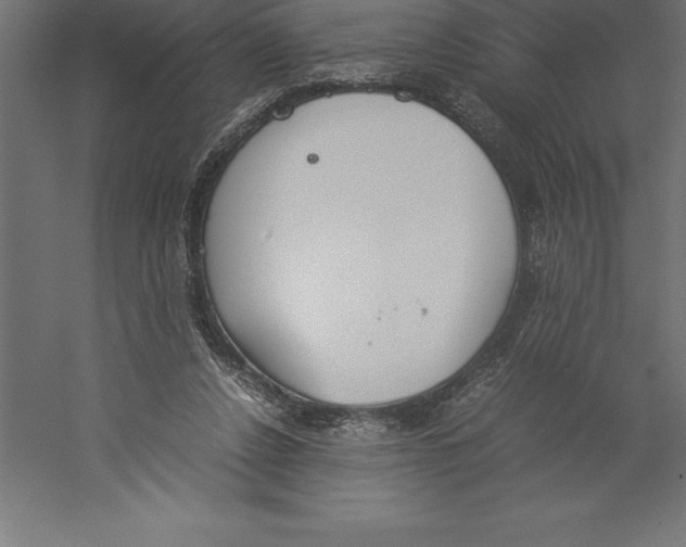 X0000060260256200511241435