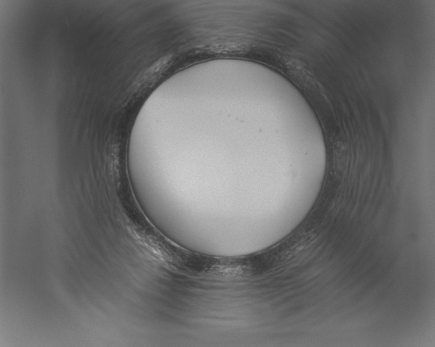 X0000060260260200511241435