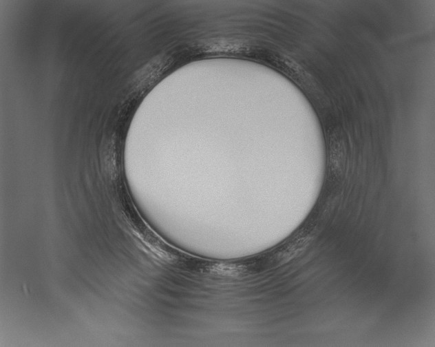 X0000060260261200511241435