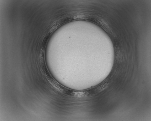 X0000060260265200511241435