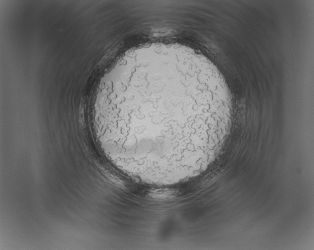 X0000060260269200511241435