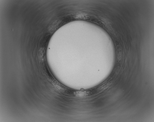 X0000060260273200511241435