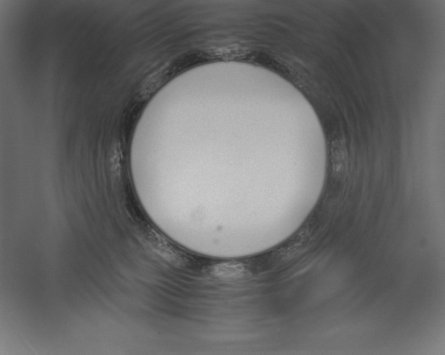 X0000060260279200511241436