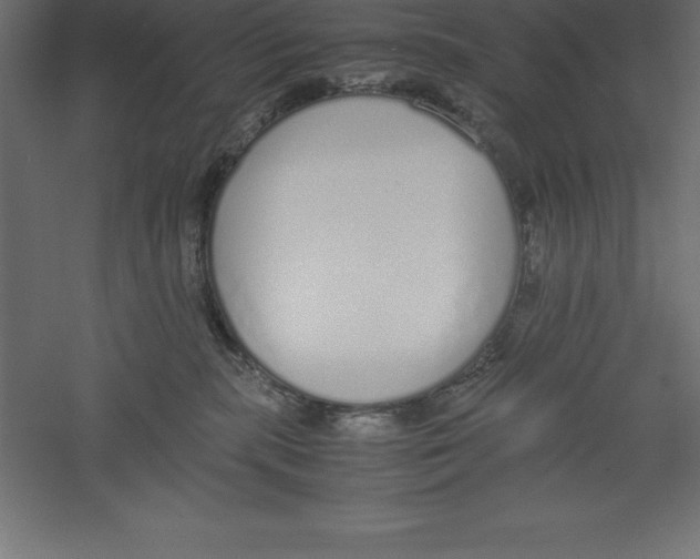 X0000060260283200511241436