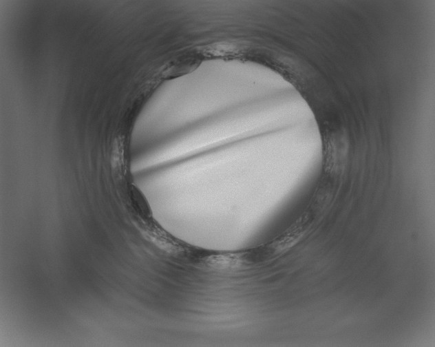 X0000060260284200511241436