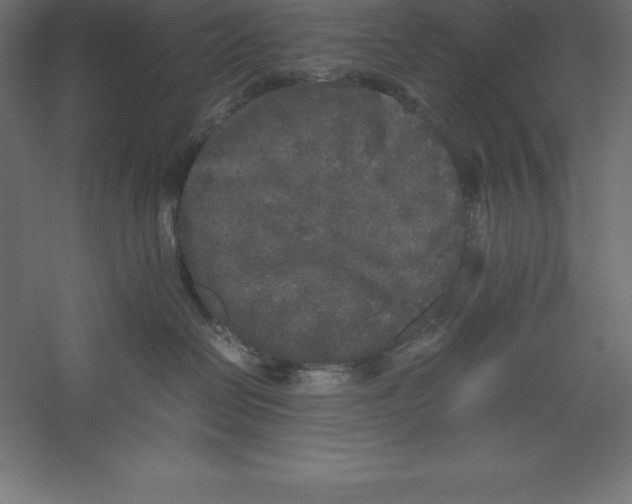 X0000060260286200511241436