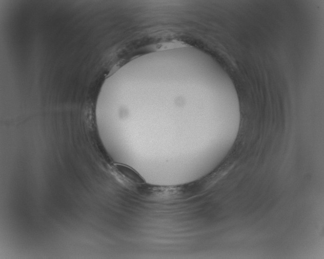 X0000060260288200511241436