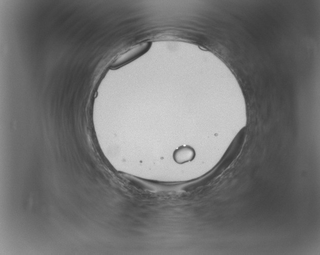 X0000060260289200511241435