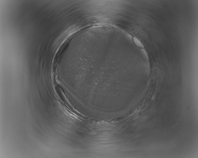 X0000060260290200511241435