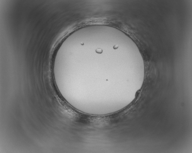 X0000060260293200511241435