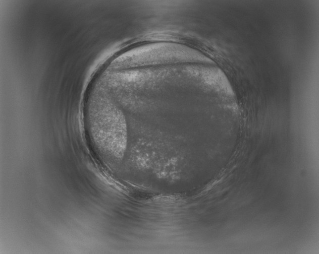 X0000060260294200511241435