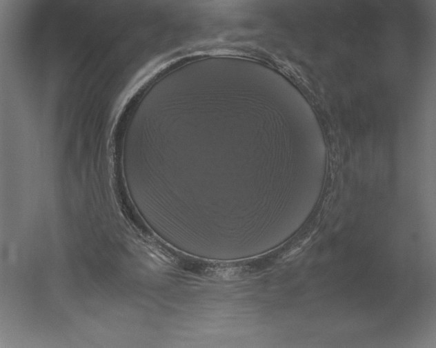 X0000060260295200511241435