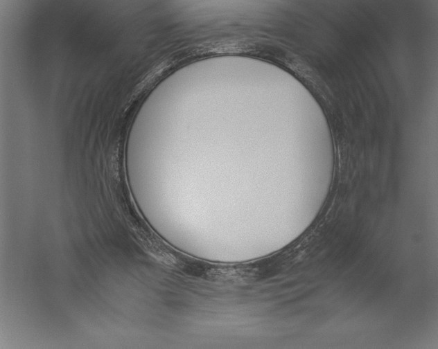 X0000060260297200511241435