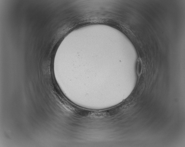 X0000060260299200511241435