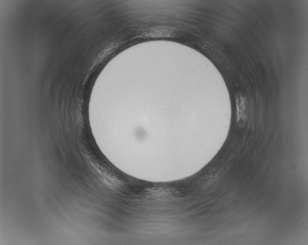 X0000060260300200511241435