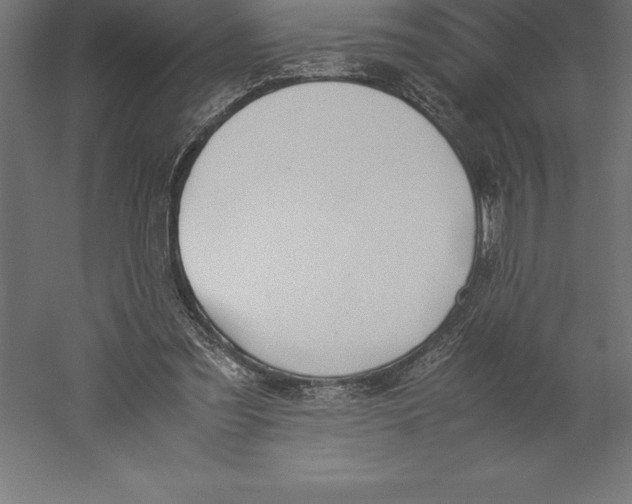 X0000060260301200511241435