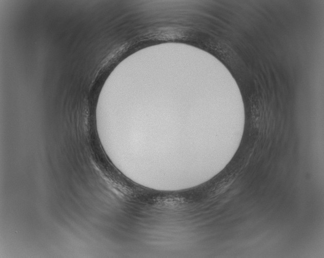 X0000060260304200511241435