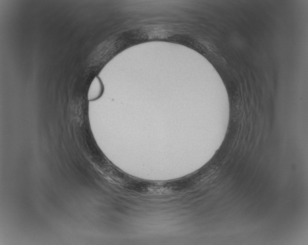 X0000060260311200511241434