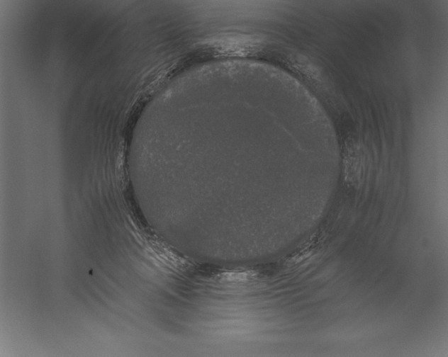 X0000060260314200511241434