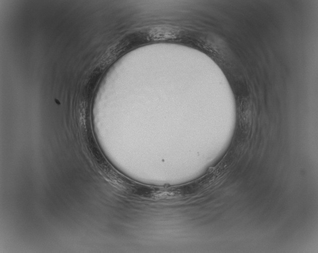 X0000060260315200511241434