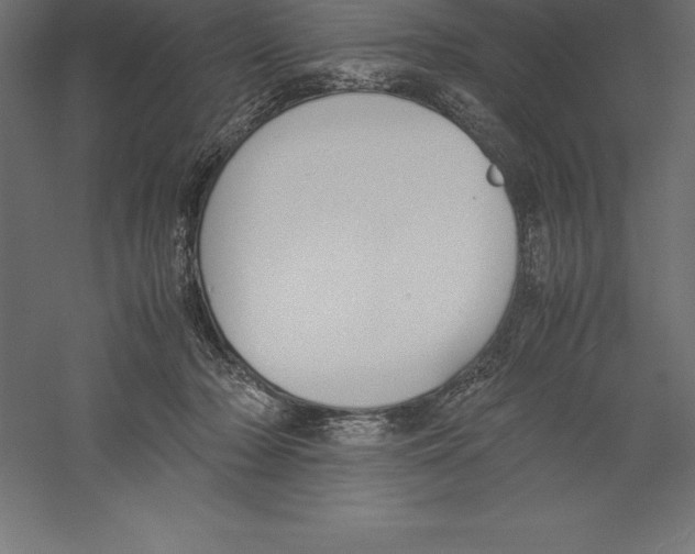 X0000060260318200511241434