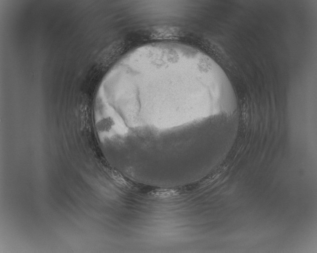 X0000060260322200511241434