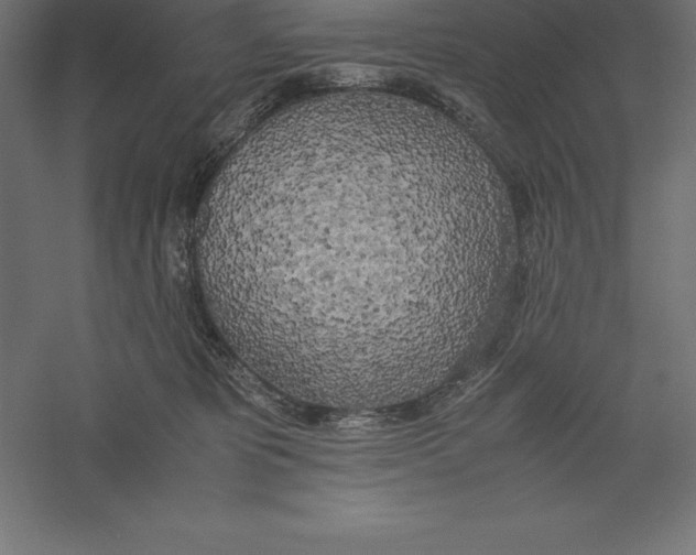 X0000060260325200511241434