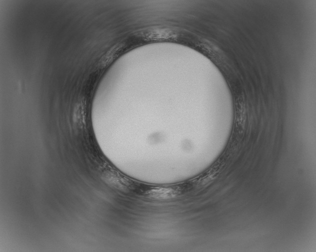 X0000060260326200511241434