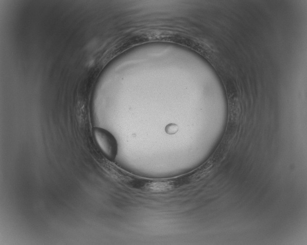 X0000060260327200511241434