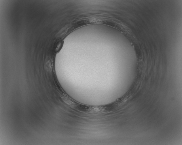 X0000060260329200511241434