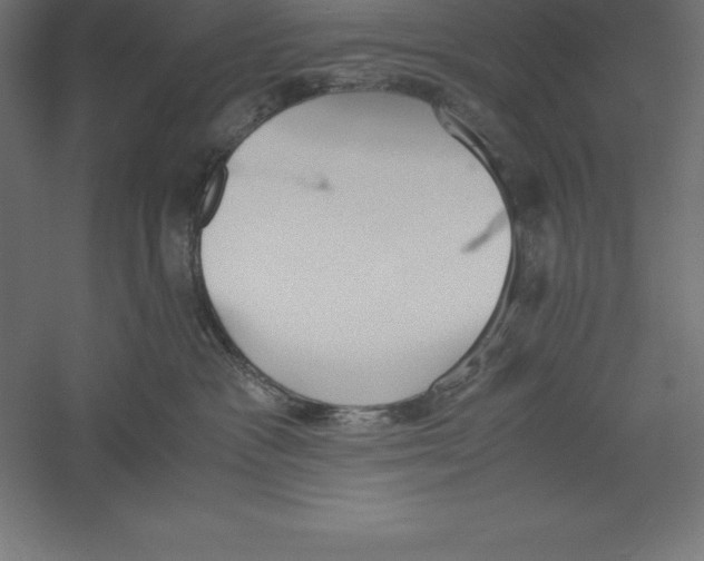 X0000060260333200511241434