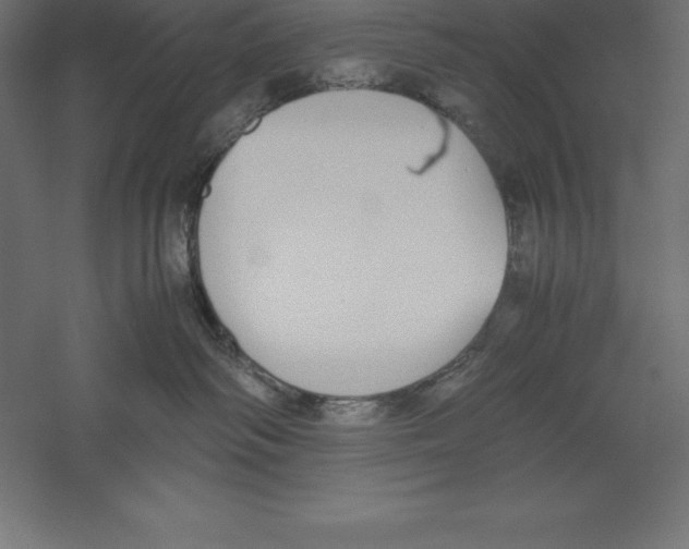 X0000060260334200511241434