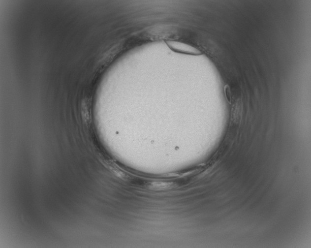 X0000060260335200511241434