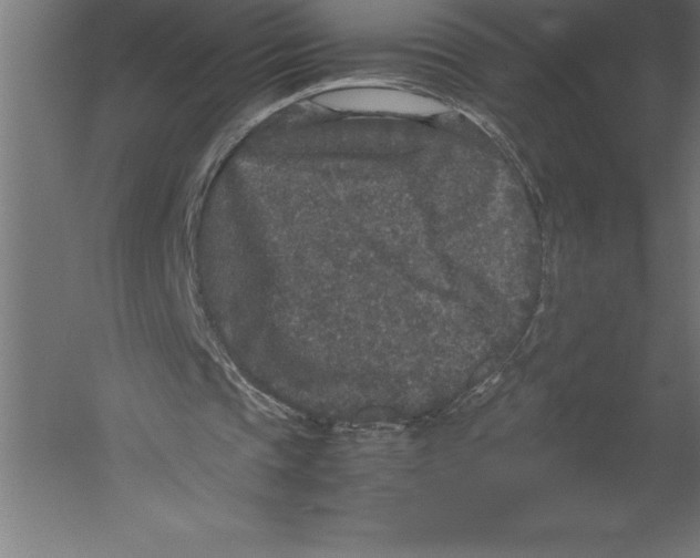 X0000060260337200511241433