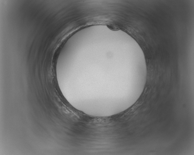 X0000060260338200511241433